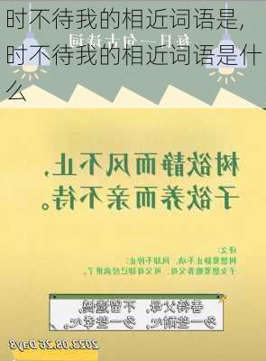 时不待我的相近词语是,时不待我的相近词语是什么