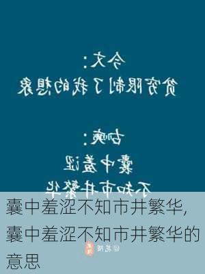 囊中羞涩不知市井繁华,囊中羞涩不知市井繁华的意思