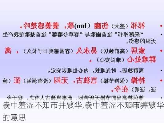 囊中羞涩不知市井繁华,囊中羞涩不知市井繁华的意思