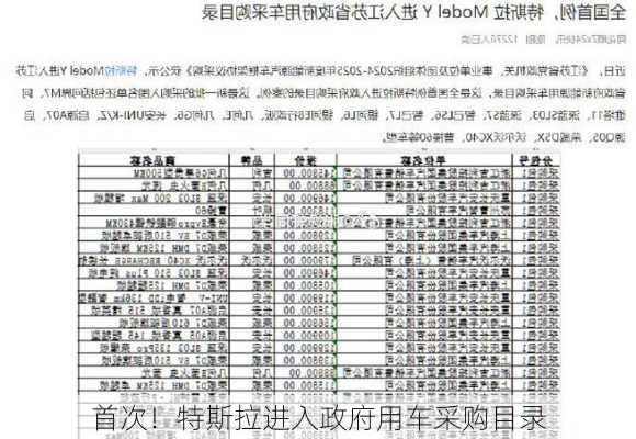 首次！特斯拉进入政府用车采购目录