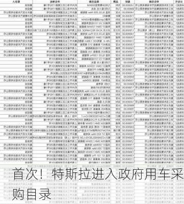 首次！特斯拉进入政府用车采购目录