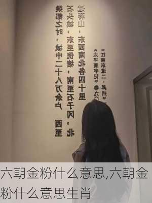 六朝金粉什么意思,六朝金粉什么意思生肖