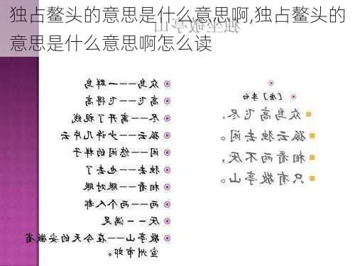 独占鳌头的意思是什么意思啊,独占鳌头的意思是什么意思啊怎么读