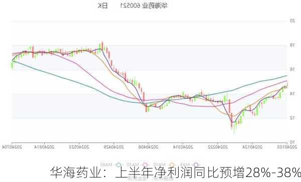 华海药业：上半年净利润同比预增28%-38%