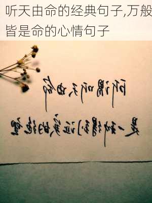 听天由命的经典句子,万般皆是命的心情句子