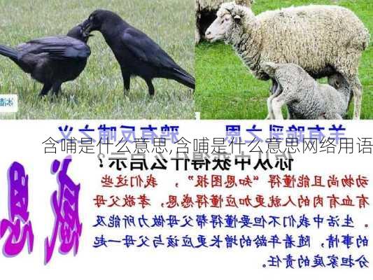 含哺是什么意思,含哺是什么意思网络用语