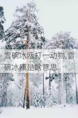 雪碗冰瓯打一动物,雪碗冰瓯是啥意思