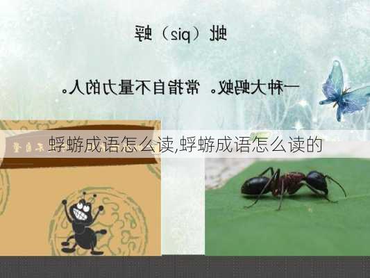 蜉蝣成语怎么读,蜉蝣成语怎么读的