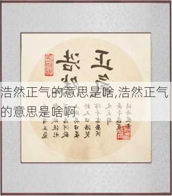 浩然正气的意思是啥,浩然正气的意思是啥啊