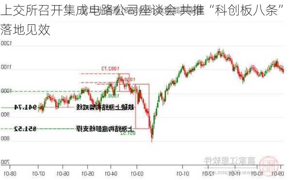 上交所召开集成电路公司座谈会 共推“科创板八条”落地见效