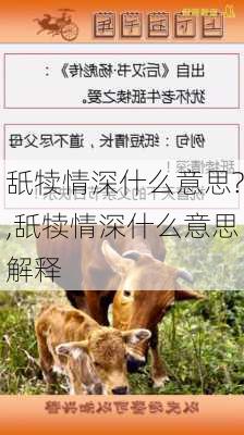 舐犊情深什么意思?,舐犊情深什么意思解释