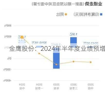 金鹰股份：2024年半年度业绩预增