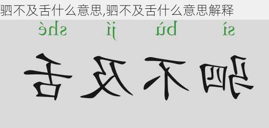 驷不及舌什么意思,驷不及舌什么意思解释