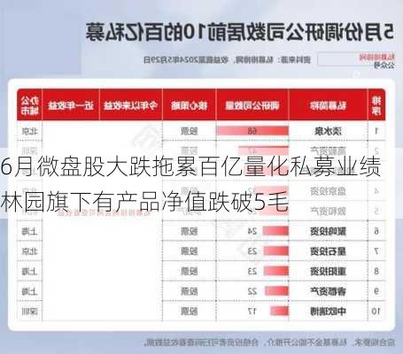 6月微盘股大跌拖累百亿量化私募业绩 林园旗下有产品净值跌破5毛