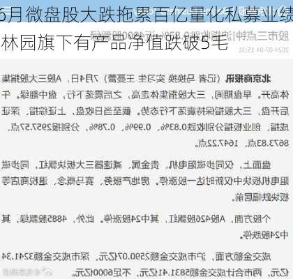 6月微盘股大跌拖累百亿量化私募业绩 林园旗下有产品净值跌破5毛