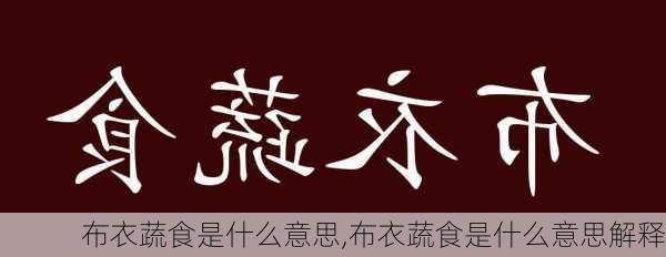 布衣蔬食是什么意思,布衣蔬食是什么意思解释