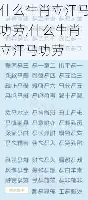 什么生肖立汗马功劳,什么生肖立汗马功劳