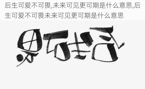 后生可爱不可畏,未来可见更可期是什么意思,后生可爱不可畏未来可见更可期是什么意思