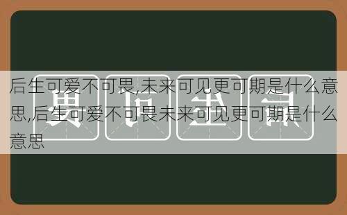 后生可爱不可畏,未来可见更可期是什么意思,后生可爱不可畏未来可见更可期是什么意思