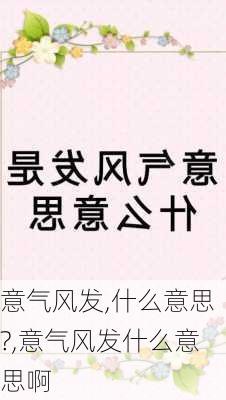 意气风发,什么意思?,意气风发什么意思啊