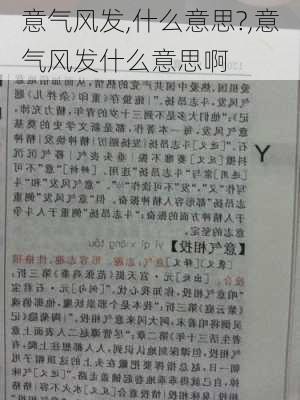 意气风发,什么意思?,意气风发什么意思啊