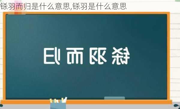 铩羽而归是什么意思,铩羽是什么意思