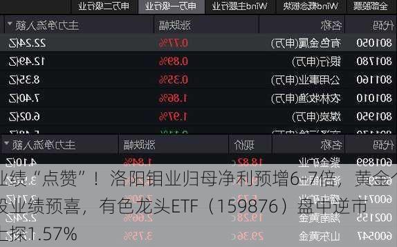 业绩“点赞”！洛阳钼业归母净利预增6-7倍，黄金个股业绩预喜，有色龙头ETF（159876）盘中逆市上探1.57%