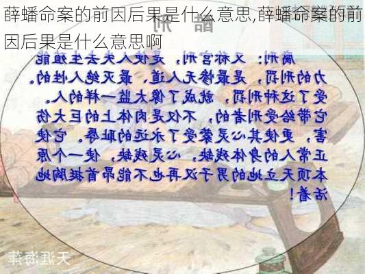 薛蟠命案的前因后果是什么意思,薛蟠命案的前因后果是什么意思啊