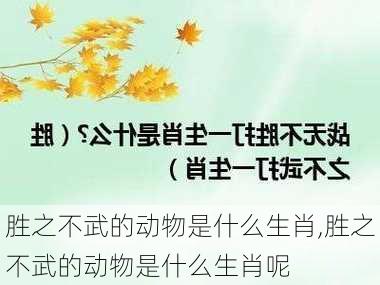 胜之不武的动物是什么生肖,胜之不武的动物是什么生肖呢