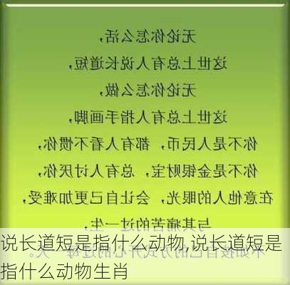 说长道短是指什么动物,说长道短是指什么动物生肖