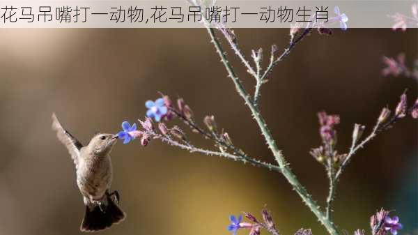 花马吊嘴打一动物,花马吊嘴打一动物生肖