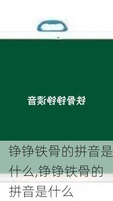 铮铮铁骨的拼音是什么,铮铮铁骨的拼音是什么