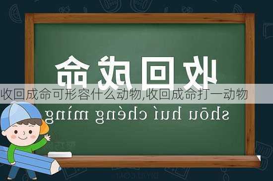 收回成命可形容什么动物,收回成命打一动物