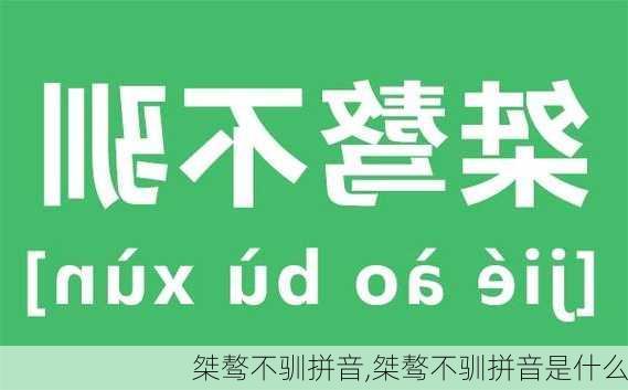 桀骜不驯拼音,桀骜不驯拼音是什么