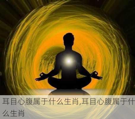 耳目心腹属于什么生肖,耳目心腹属于什么生肖