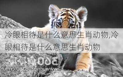 冷眼相待是什么意思生肖动物,冷眼相待是什么意思生肖动物