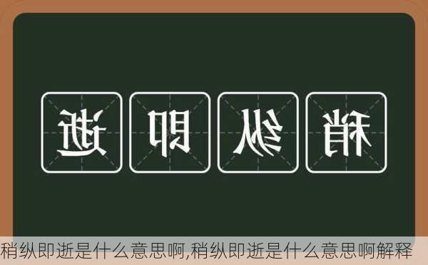 稍纵即逝是什么意思啊,稍纵即逝是什么意思啊解释