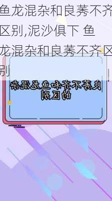 鱼龙混杂和良莠不齐区别,泥沙俱下 鱼龙混杂和良莠不齐区别