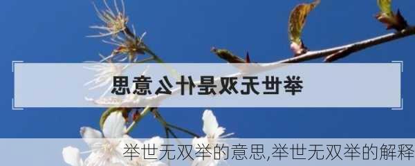 举世无双举的意思,举世无双举的解释