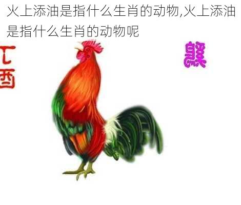 火上添油是指什么生肖的动物,火上添油是指什么生肖的动物呢