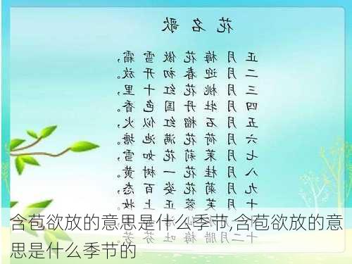 含苞欲放的意思是什么季节,含苞欲放的意思是什么季节的