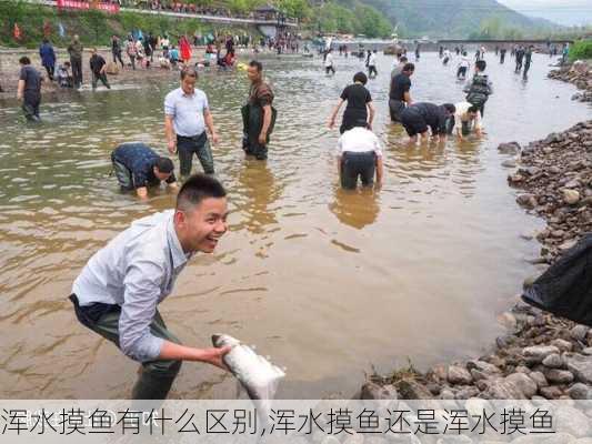 浑水摸鱼有什么区别,浑水摸鱼还是浑水摸鱼