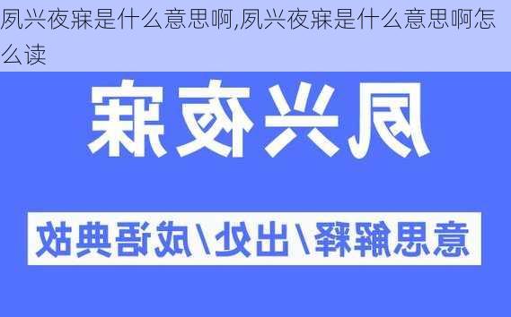 夙兴夜寐是什么意思啊,夙兴夜寐是什么意思啊怎么读