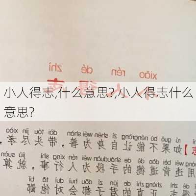 小人得志,什么意思?,小人得志什么意思?