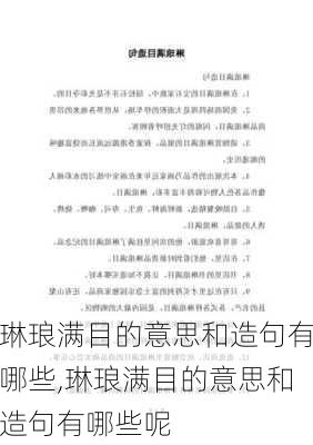 琳琅满目的意思和造句有哪些,琳琅满目的意思和造句有哪些呢