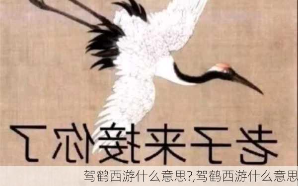 驾鹤西游什么意思?,驾鹤西游什么意思