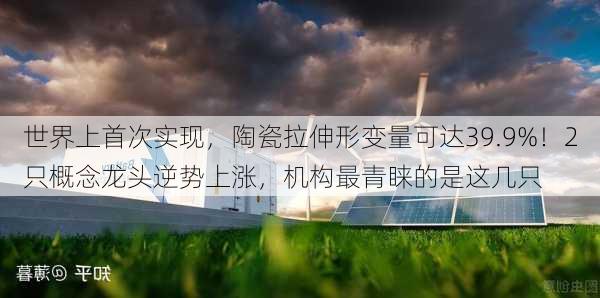 世界上首次实现，陶瓷拉伸形变量可达39.9%！2只概念龙头逆势上涨，机构最青睐的是这几只