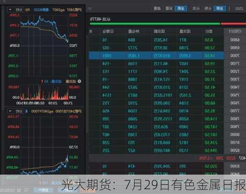 光大期货：7月29日有色金属日报