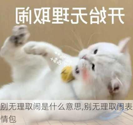 别无理取闹是什么意思,别无理取闹表情包