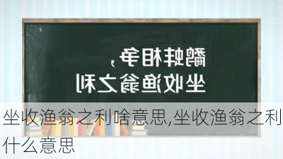 坐收渔翁之利啥意思,坐收渔翁之利什么意思